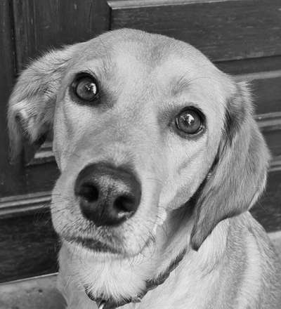 Foto-Challenge 76: Foto in Schwarz-Weiss-Beitrag-Bild