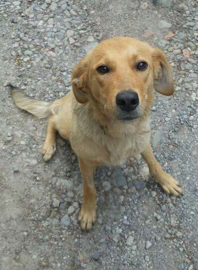 Von oben-Beitrag-Bild