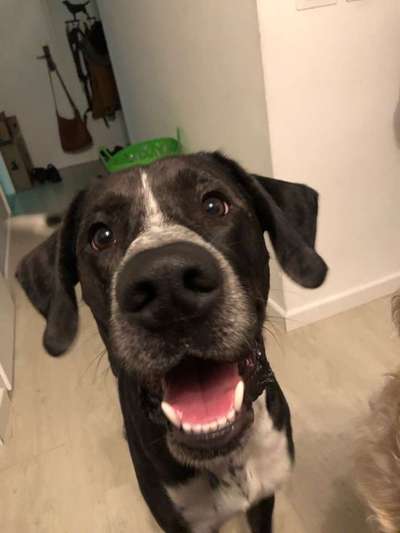 Immer lächeln !-Beitrag-Bild