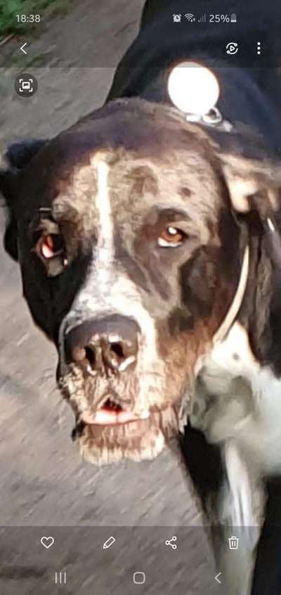 Lustige Bilder-Beitrag-Bild