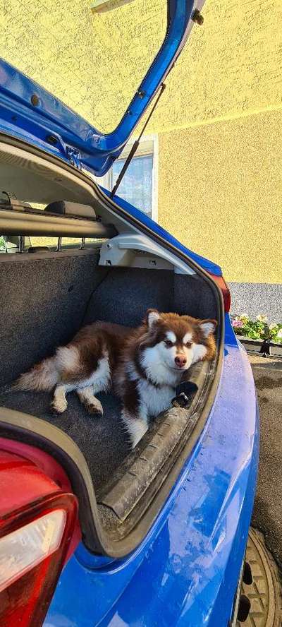 CHALLENGE NR. 18 - ON TOUR-Beitrag-Bild