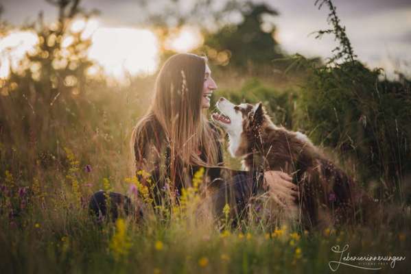 Euer schönstes Bild mit eurem Hund gemeinsam!-Beitrag-Bild