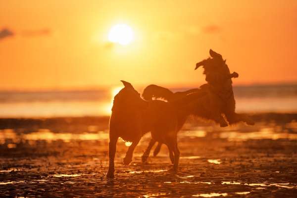 Lieblingsbild-Beitrag-Bild