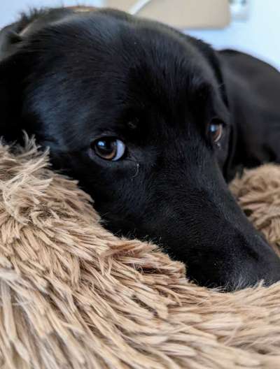 Lieblingsbild-Beitrag-Bild