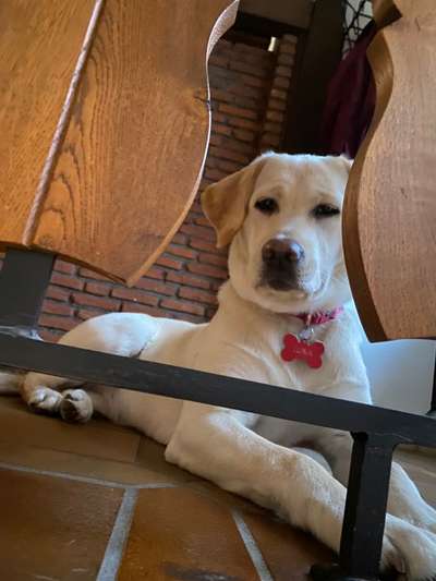 Fotochallange Nr. 57     PORTRÄT.   Beendet!!!!!!!!-Beitrag-Bild