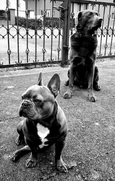 Best friends day-Beitrag-Bild