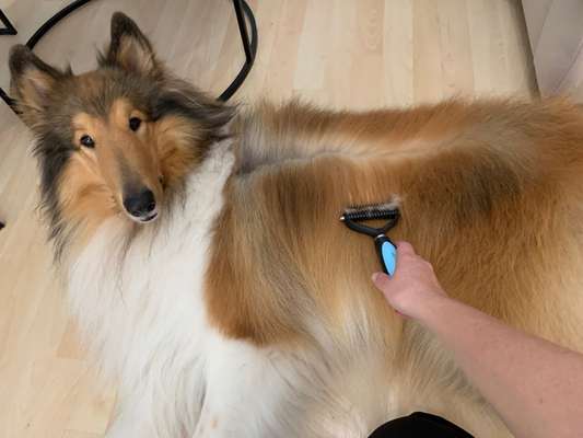 22. Handy Foto - Challenge-Beitrag-Bild