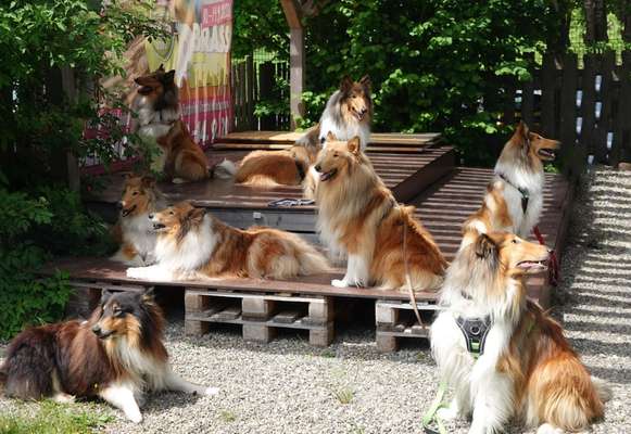 Fotochallenge 88-Beitrag-Bild