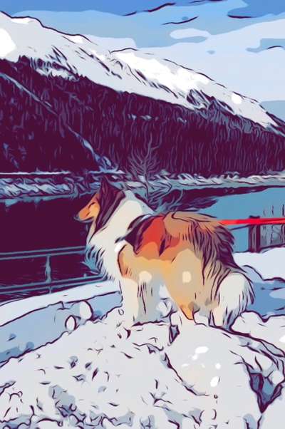 Fotochallenge 124 - Dein Comic-Hund-Beitrag-Bild