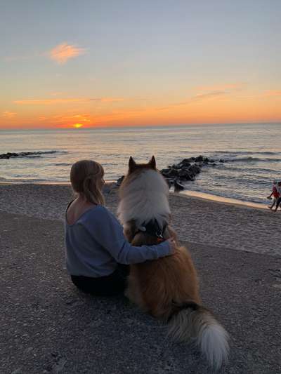 Sonnenaufgänge oder - untergänge-Beitrag-Bild