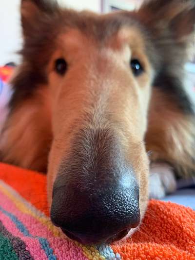 Ratespaß geht weiter-Beitrag-Bild