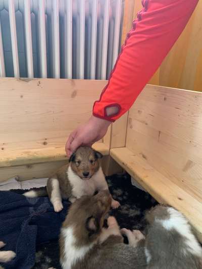 Erstes Bild-Beitrag-Bild