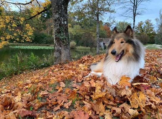 Ton in Ton-Beitrag-Bild