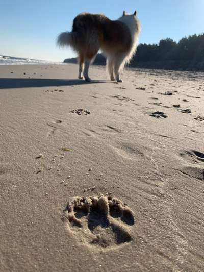 28. Farben Foto Challenge * BEIGE *-Beitrag-Bild