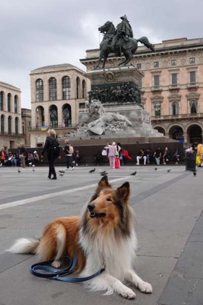 Dogorama Photo Challenge - an der Leine-Beitrag-Bild