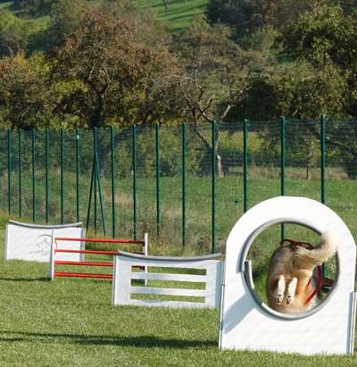 Fotochallenge Nr. 52 „Spring!“-Beitrag-Bild