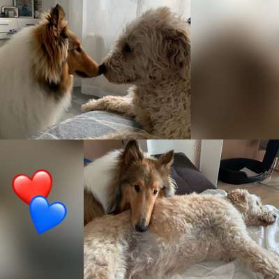 Fotochallenge Nr. 62 Romantische Momente-Beitrag-Bild