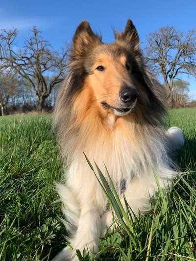 Farben Fotochallenge Thema ,,Grün"-Beitrag-Bild