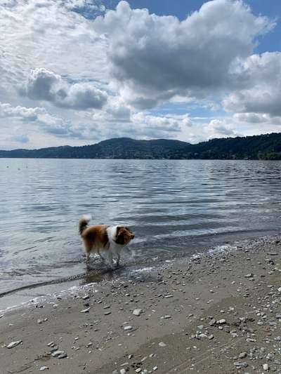 35. Handy Foto Challenge - Das nasse Element-Beitrag-Bild