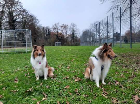 Fotochallenge 130-Beitrag-Bild