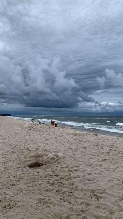 156. Fotochallenge *** DEIN HUND UND DIE WUNDERSCHÖNEN WOLKEN ***-Beitrag-Bild