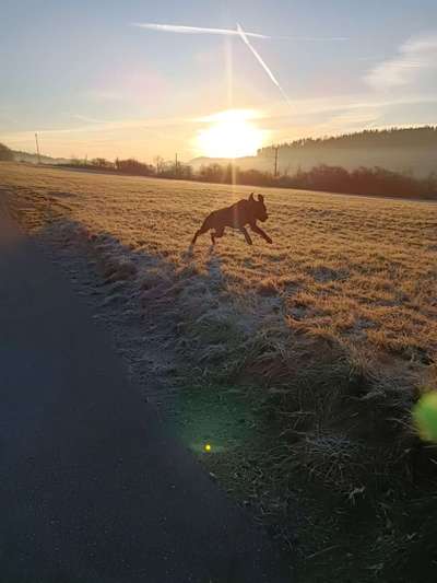 Un...scharf Bilder-Beitrag-Bild