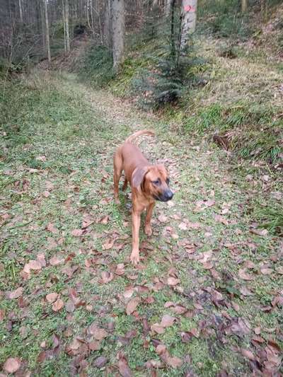 Foto Challenge Nr. 79-Beitrag-Bild