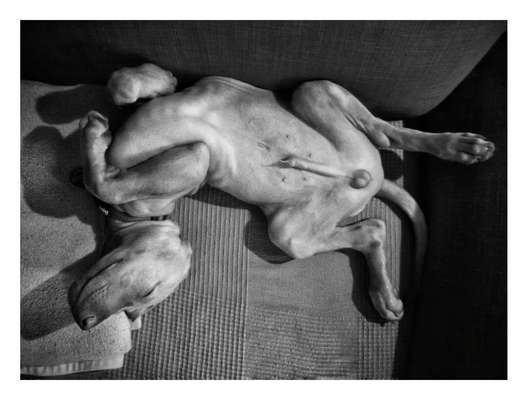 Foto Challenge - Zeigt her eure Bäuche-Beitrag-Bild