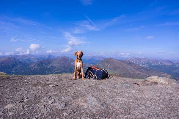 Mit mach Challenge :-Beitrag-Bild