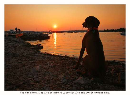 18. Farben Fotochallenge: Sonnenuntergang-Beitrag-Bild