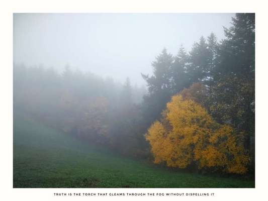 Die wunderschöne Welt mit Hund.-Beitrag-Bild