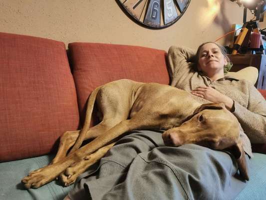 85. Foto Challenge : Schosshund-Beitrag-Bild