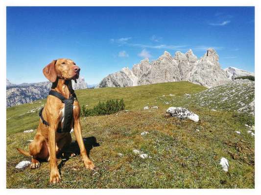 Mit mach Challenge :-Beitrag-Bild