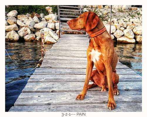 Foto Challenge Thema "Brücke"-Beitrag-Bild