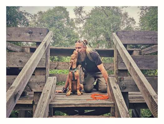 Foto Challenge Thema "Brücke"-Beitrag-Bild