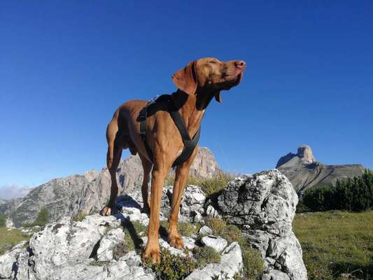 64. Handy Foto Challenge - Hoch hinaus-Beitrag-Bild