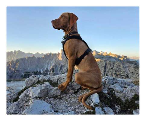 29. Farben Foto Challenge -
Silber glänzend.-Beitrag-Bild