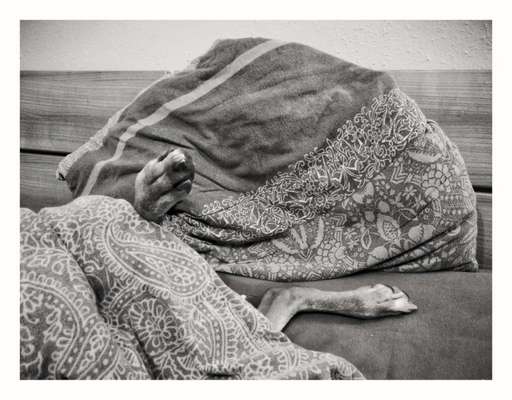 143. Fotochallenge: Ja, wo isser denn?-Beitrag-Bild