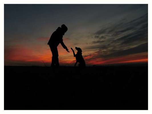 157 Fotochallege- Gib mir Deine Pfote und ich schenke Dir mein Herz-Beitrag-Bild