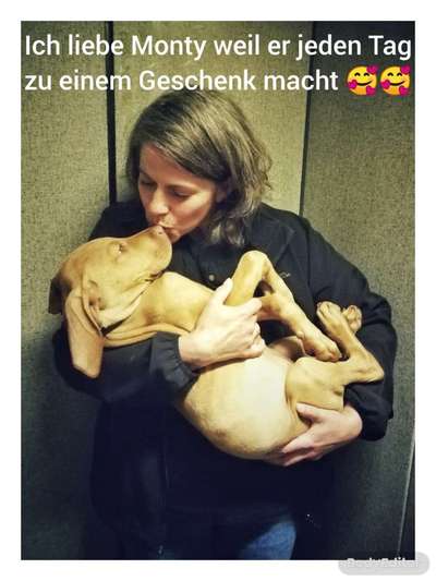 Fotowettbewerb "Liebeserklärung an deinen Hund!"-Beitrag-Bild
