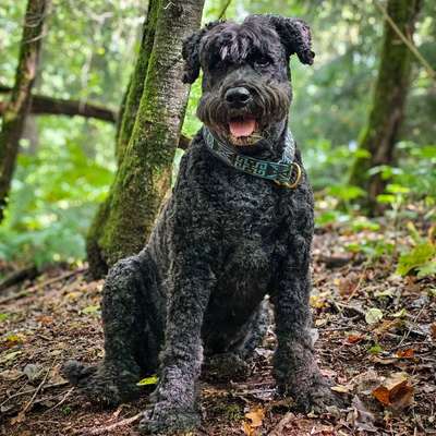 Giftköder-Erstgespräch-Bild