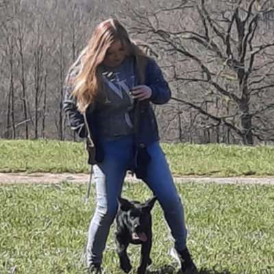 Hundetreffen-Spazieren gehen sonntags-Profilbild