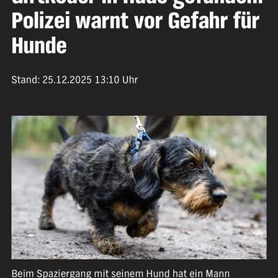 Giftköder-Giftköder (Leberwurstbrötchen)-Bild