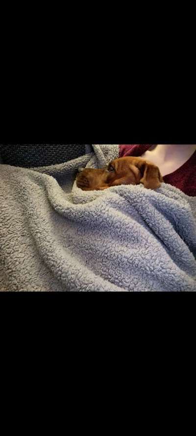 13. Farben-Fotochallenge "Grau"-Beitrag-Bild