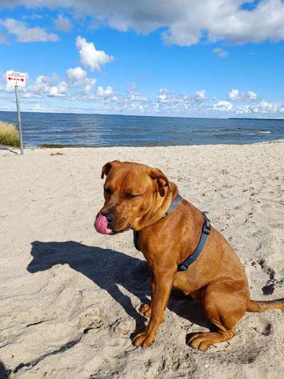 12. Farben Foto Challenge --- Braun-Beitrag-Bild