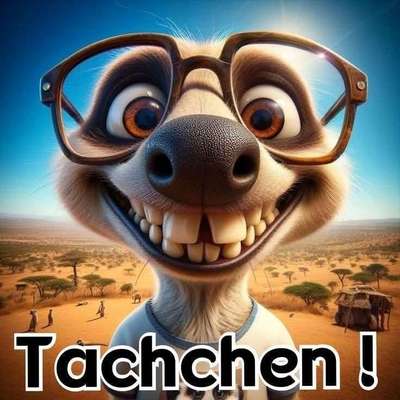 Hundetrainer – Der Joker/Die Rettung?-Beitrag-Bild