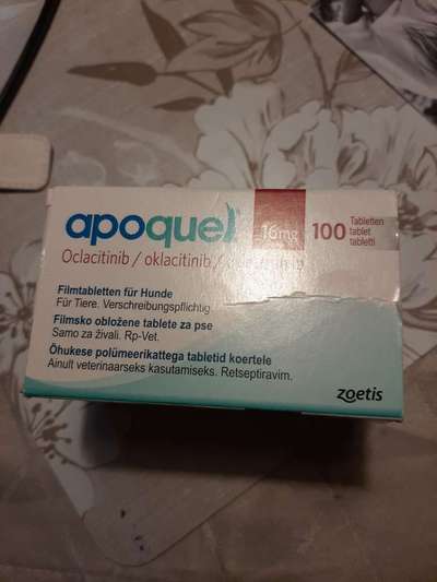 Allergie-Beitrag-Bild