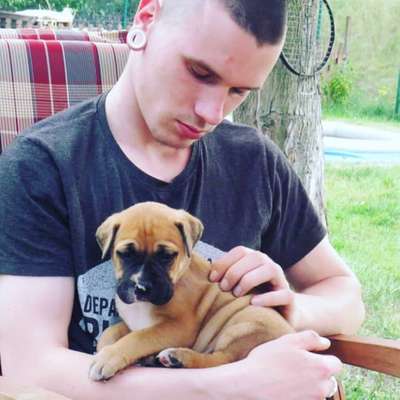 Hundetreffen-Spielrunde LWL