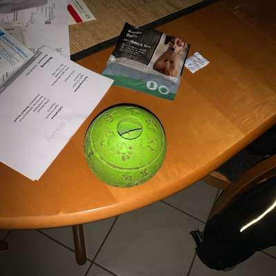 Zeigt her, euer Lieblingsspielzeug-Beitrag-Bild