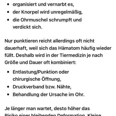 Blutohr -Erfahrungen, Hilfe?-Beitrag-Bild